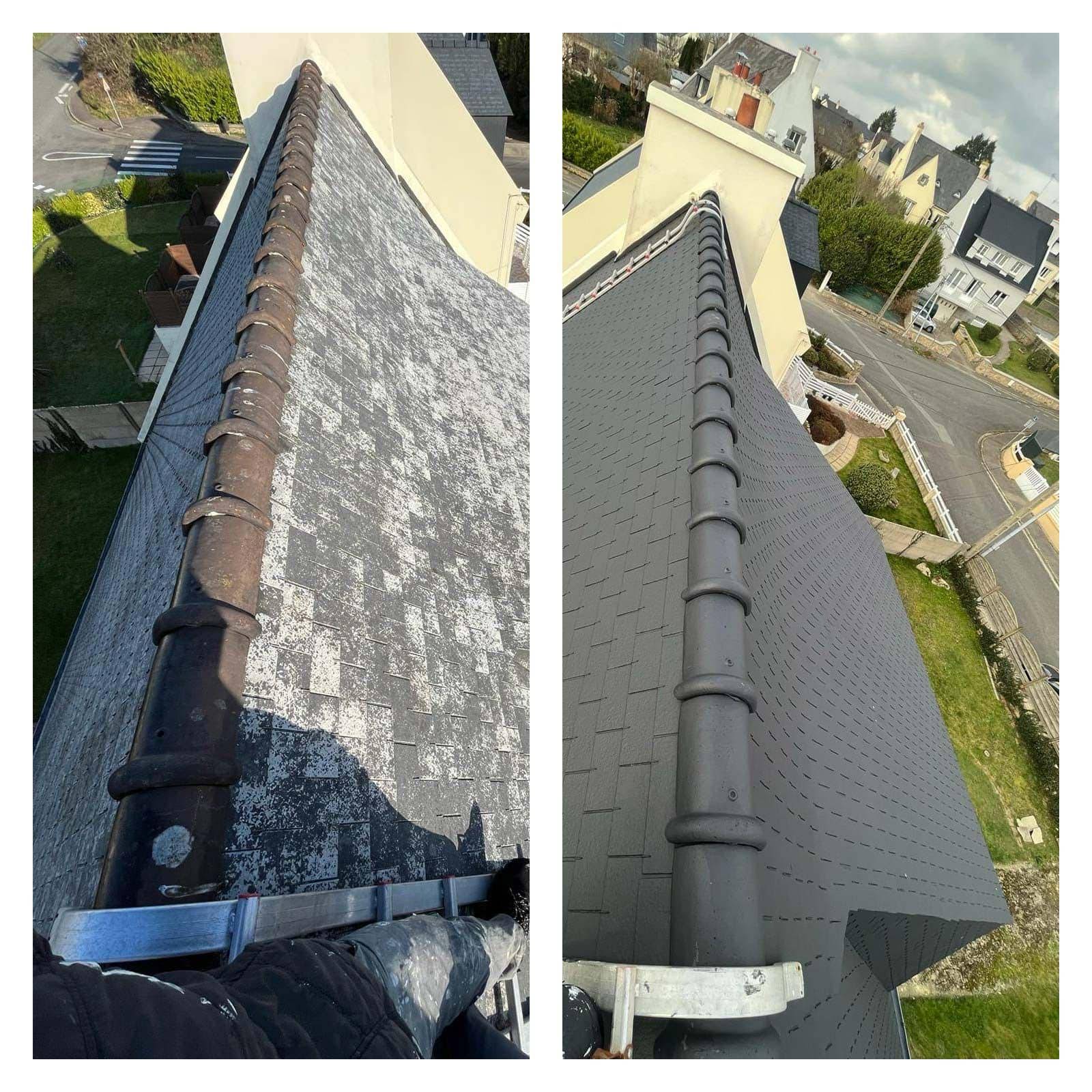 Ramonage et démoussage